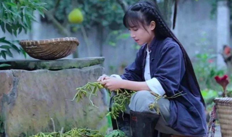 十四岁辍学的李子柒，要和年入十六亿的“李子柒”分家？