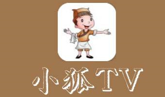 小狐TV站长传播侵权作品八千余部 获刑三年