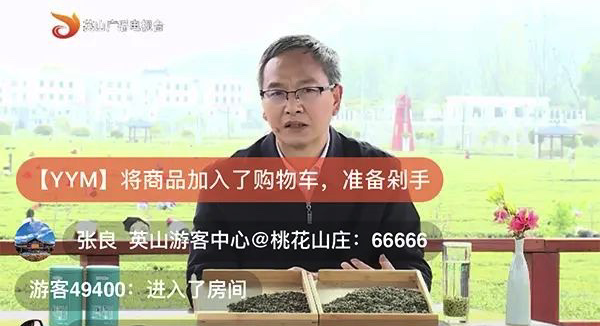 湖北“抗疫满分”县长直播带货，数百万人围观