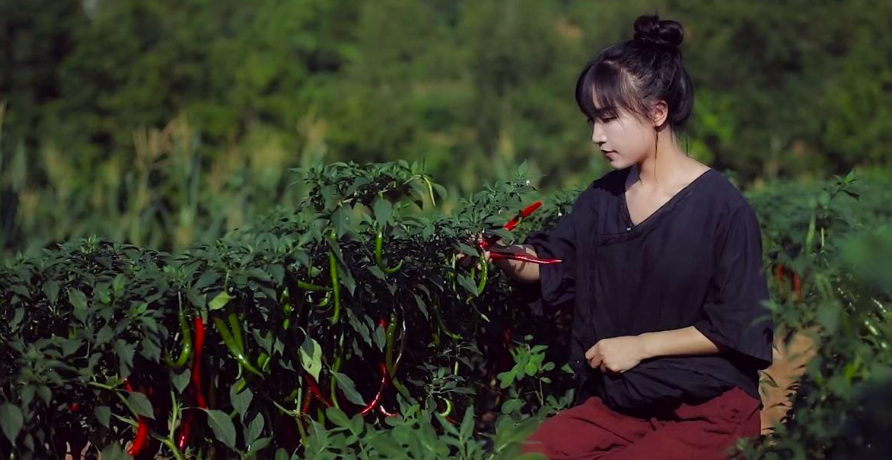 李子柒疑遭越南美食博主抄袭，律师：维权难度较大