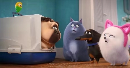 猫与狗在大银幕上谁更受欢迎？