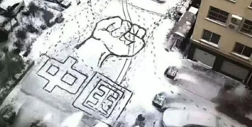 这雪景照片到底是武汉？大连？还是潍坊的？