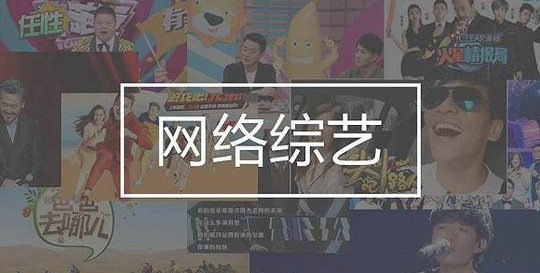 94条实操性标准，《网络综艺节目内容审核标准细则》出台！