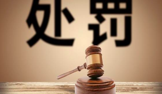 国家新闻出版署2020年共下发8份行政处罚决定书