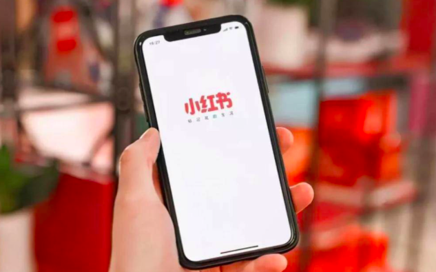 小红书：搅局电商不成，反被淘宝抖音围剿