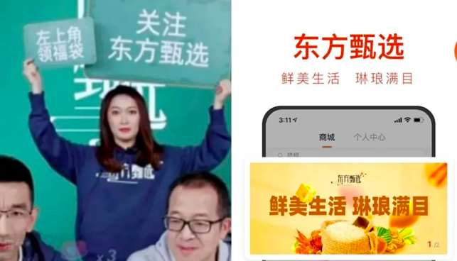 东方甄选独立APP上线