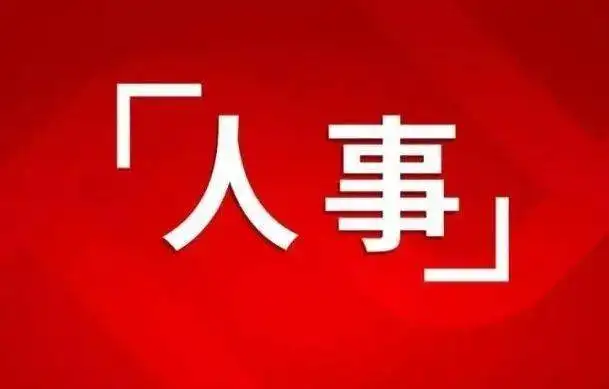 张建红辞任湖北广电网络董事长，曾文代履职责