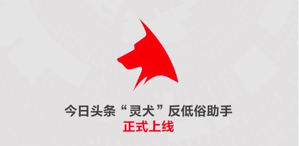 今日头条上线“灵犬”小程序 将开放反低俗技术模型