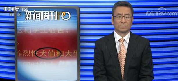 白岩松吐槽某地政府机构公告错字连篇：形式主义害死人，丢死人