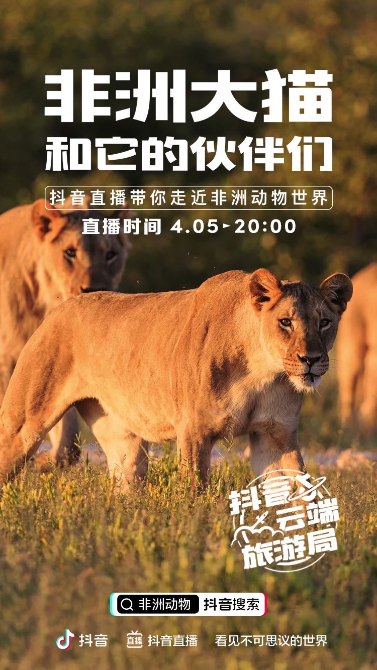 图像 2020-4-7，上午11