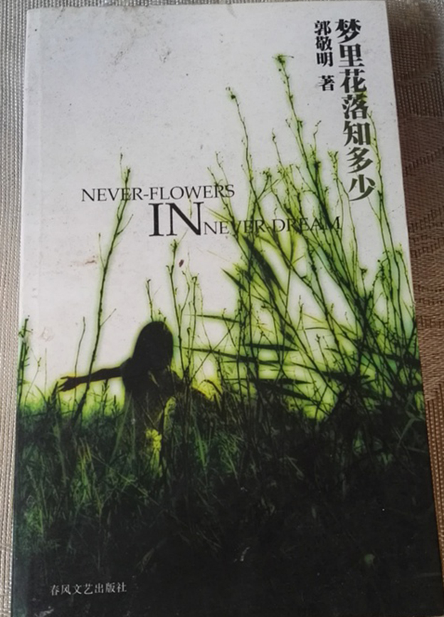 梦里花落知多少郭敬明1