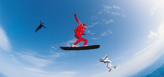 减肥综艺“进化论”