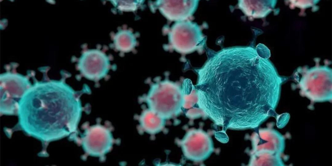 每一部病毒题材影视剧都是警告与预演