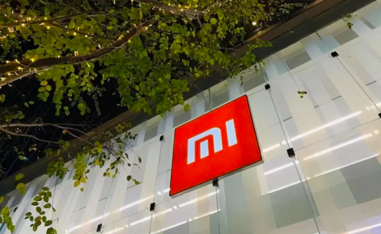 权力下放后：雷军“金融梦”依旧