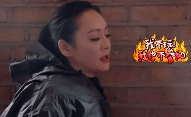 宁静什么时候才肯放过综艺？