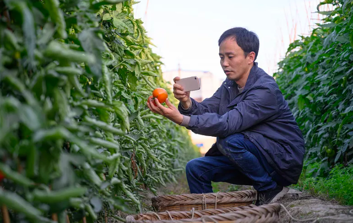 2022年，谁在带火助农直播？