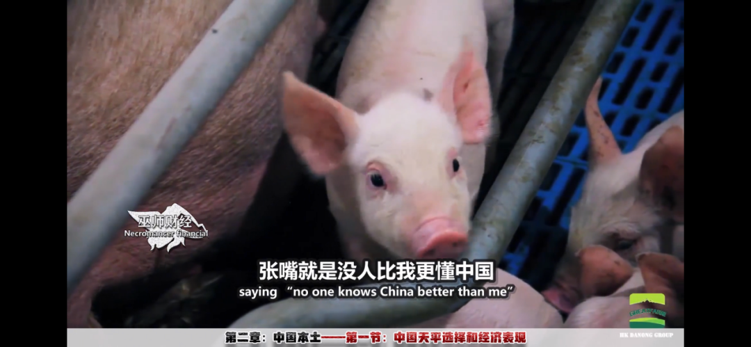 定了:巫师财经的西瓜独家首秀,你要打几分?