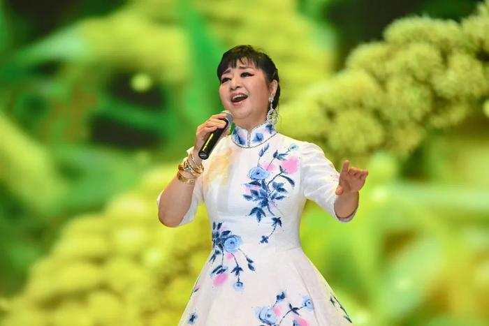 殷秀梅当选新一届中国文艺志愿者协会主席