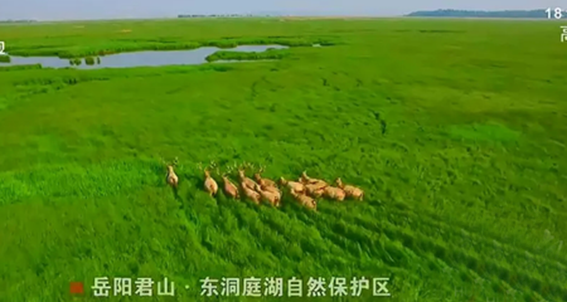 湖南经视,融合创新探出了一条新路