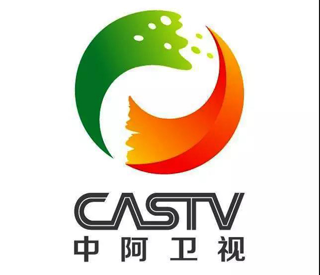 中阿广播电视开展多形式合作3