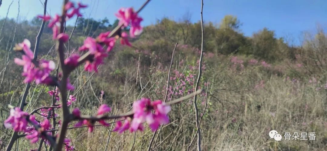 图像 2020-3-8，下午5