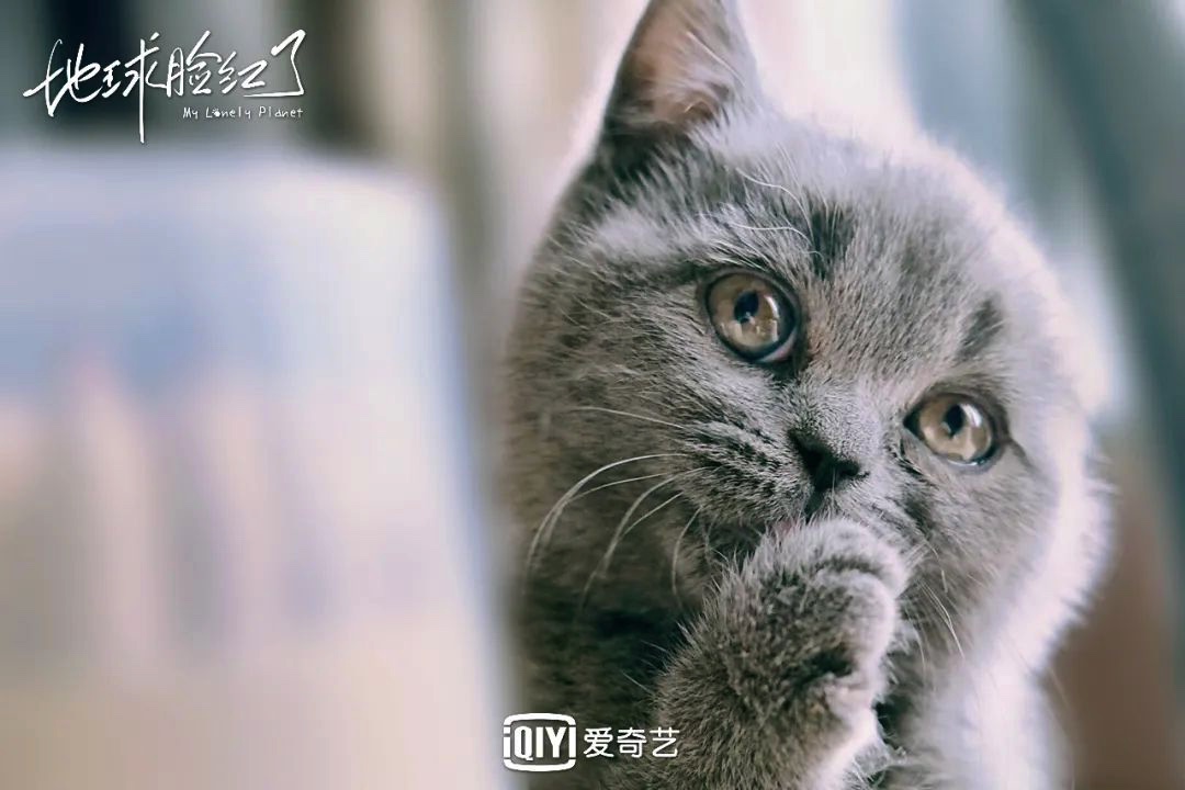 图像 2020-3-15，下午9