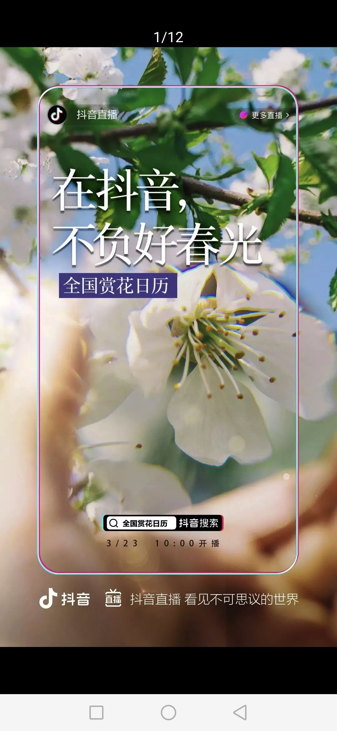 图像 2020-3-27,下午5