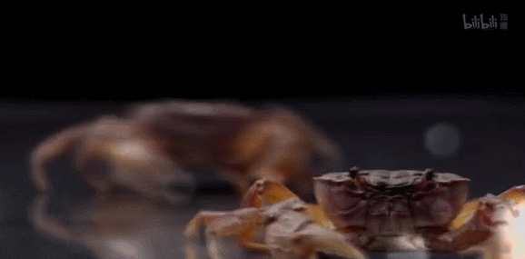 EC505210-4C75-47CA-A521-A4D6B1C7A333_4_5005_c