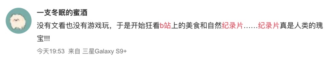 26B50141-FC66-4E27-AFCE-773BCE56036B_4_5005_c