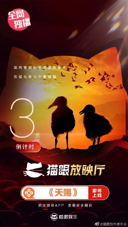 F3166193-E048-473A-BA3D-8C7D80BCAFEB