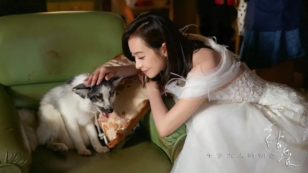 BE99E26A-D0B7-4393-8CD4-53D7A7043679