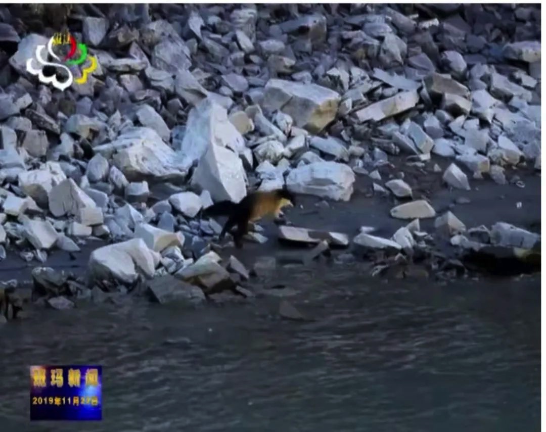 E1298666-9BFC-46C8-B727-5C70D6E1F022